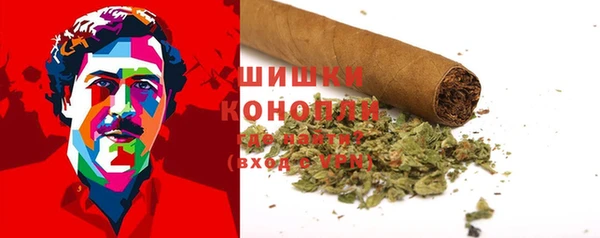 дмт Шадринск