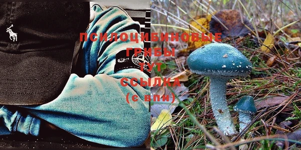 винт Кедровый